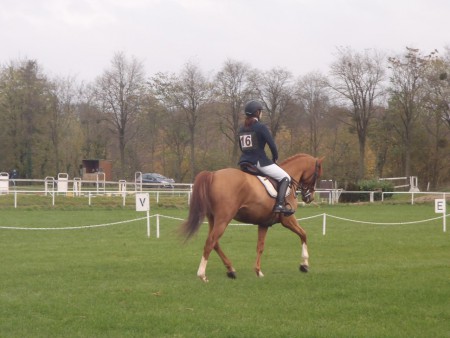 Toujours concentrée 