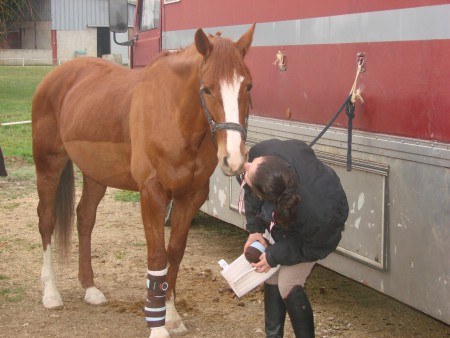 Récompense après le concours