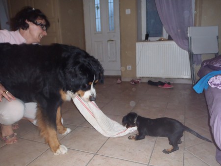 Fandor s'occupe d'Heda 